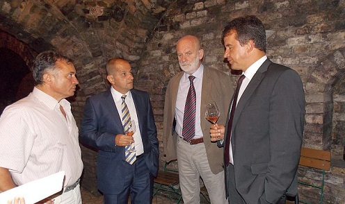 Budai Gyula