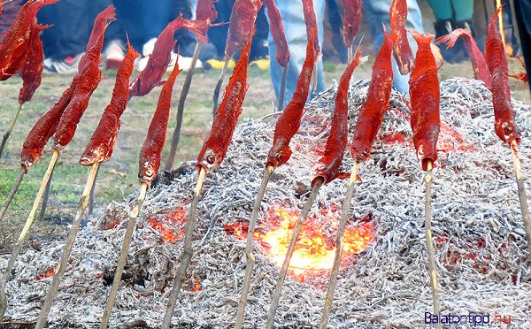 A gardahalászat hagyományait elevenítik fel