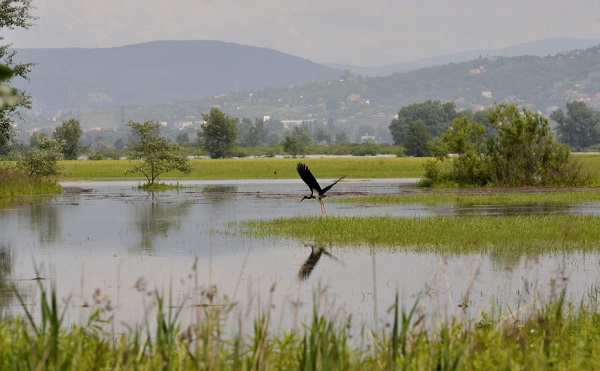 Természetvédelmi területté nyilvánították a Duna Táti-szigeteit
