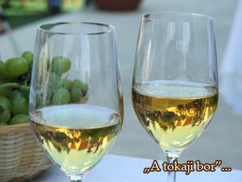 tokaji aszú