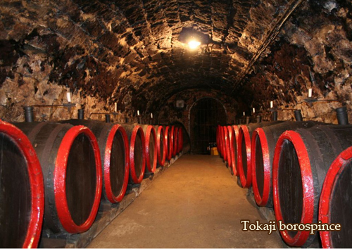 tokaj borospince