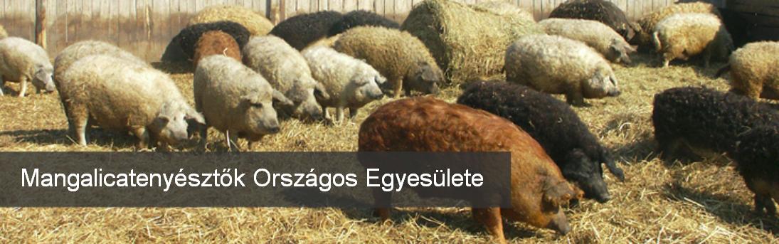 Mangalicatenyésztők Országos Egyesülete 