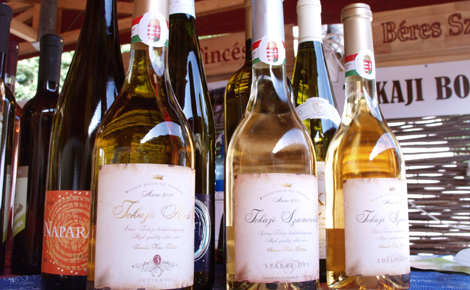Magyar borok bemutatkozása a Wine Expo 2015 rendezvényen